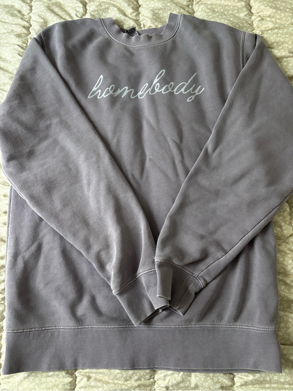 Homebody Script Crewneck Sweatshirt - Gray